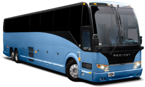 Full Size Bus